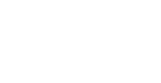 Foodie Festival